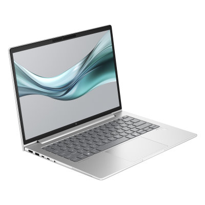 HP EliteBook 645 G11 (A37Z2ET)