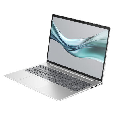 HP EliteBook 665 G11 (A37YZET)