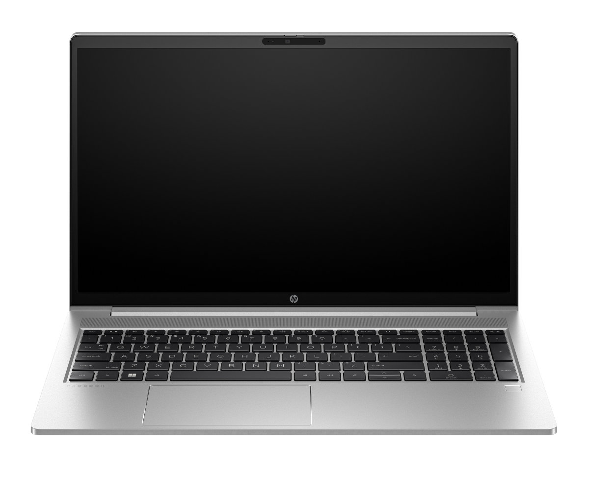 HP ProBook 455 G10 (AL0G9AT)