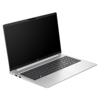 HP ProBook 455 G10 (AL0G9AT)