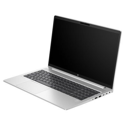 HP ProBook 455 G10 (AL0G9AT)